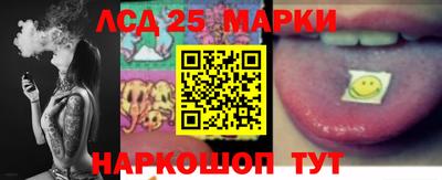 ГАЛЛЮЦИНОГЕННЫЕ ГРИБЫ Сланцы