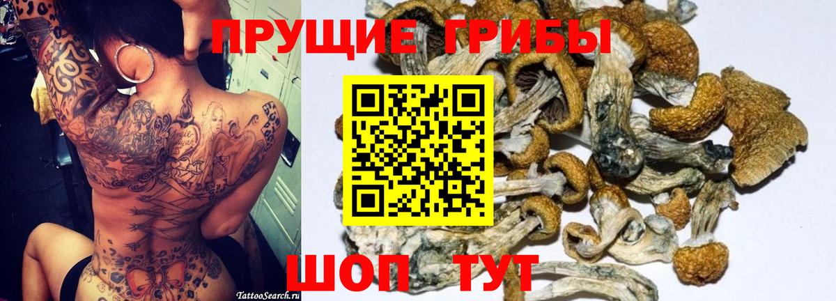 Галлюциногенные грибы мухоморы  Вход с VPN  Похвистнево 