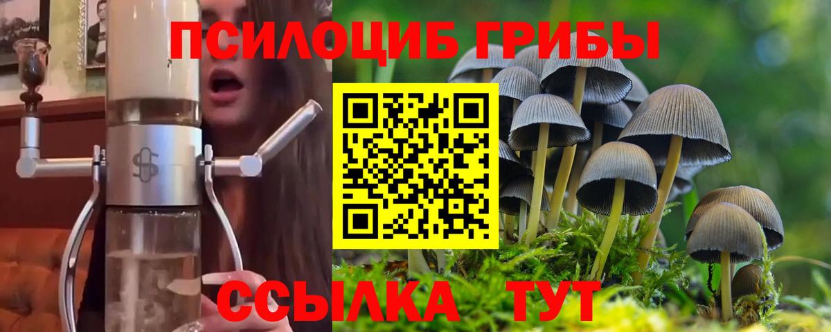 Галлюциногенные грибы Psilocybe Похвистнево